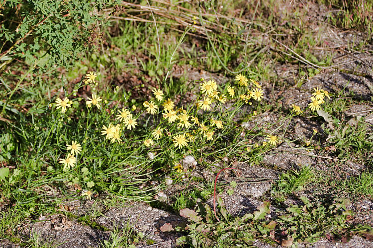 Het treurige verval van Kerverland voorafgaand aan de sloop_34